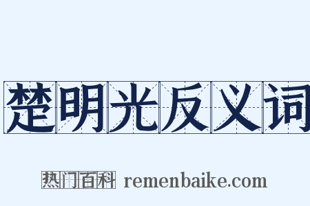 楚明光反义词是什么意思的图片